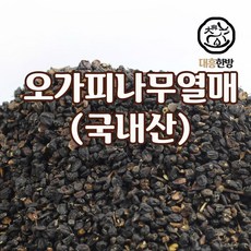 대흥한방 오가피나무(열매) 300g 국내산, 1개