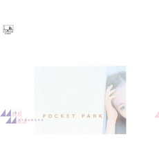 마츠바라 미키 POCKET PARK LP 컬러반 레코드판 시티 팝 아날로그반 - 마츠바라미키lp