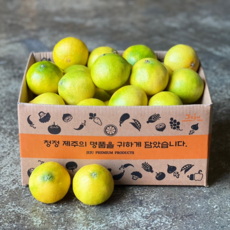 제주 산지직송 고당도 황금향, 1개, 1kg / 소과