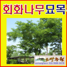 9751ce3433f0c429cd3ef2ac5f952d0a1941b9ae8520b19863840678c968.png