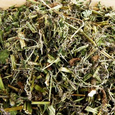 추천2 곰보배추효능