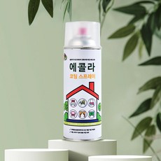에콜라
