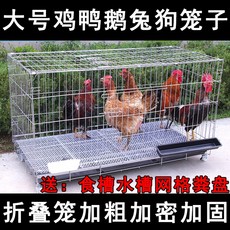 64bd3dd55a07a690a794084516cde2beb766d35bb516699aa8d3dfae32d8.jpg
