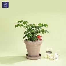 9d6ac3cc7ca25fb07e22f0528a8ec2e6ba47e13ab025b94a8bbe393a14db.jpg