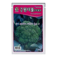 홀츠바우
