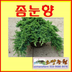 a86c4ad942c1531ccd19cc044bc8fadbd518964119636b94eb557724f5a3.png