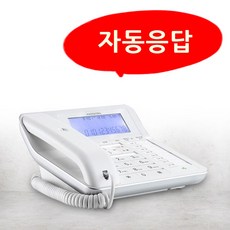 유무선전화기녹음기능