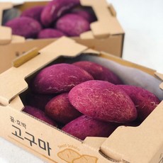 [디저트바이블룸] 수제 찹쌀 고구마빵 10개입 겉쫀속촉 겉빠속촉 영양간식 출출할때 식사 대용