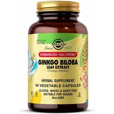 솔가 징코 빌로바 은행잎 추출물 60캡슐 2팩 Solgar Ginkgo Biloba Leaf Extract (미국배송)