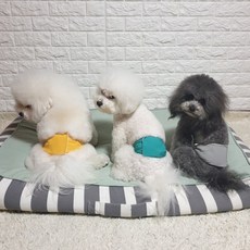 다회용천기저귀