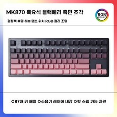  FL-ESPORTS MK870 기계식키보드 RGB 핫스왑 FL 유선 87키 사무실, 1. 옵시디언 블랙베리, 8. TTC 퀵실버 축 V2  빠른 트리거 