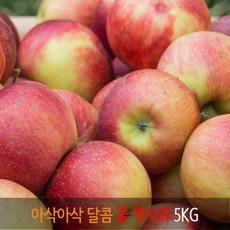[더야채] 경남 거창 아삭 달콤한 꿀 햇부사 사과 18~20과 / 5KG