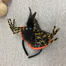 대구거미콘서트