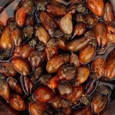 [오초록] 진동 미더덕 1kg / 냉동, 1박스