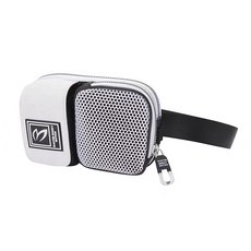 디올새들벨트백