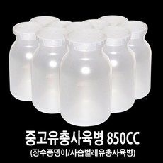 장수풍뎅이중고유충사육병850cc-사슴벌레중고유충사육병850cc, 1개