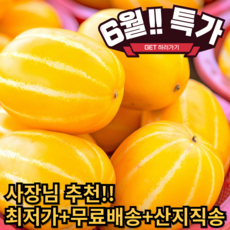 [청년마트] 고당도 성주참외 못난이 산지직송