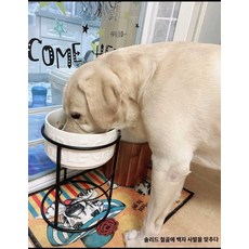  중형견 인테리어 식기 강아지 물그릇 밥그릇 대형견 반려동물, 솔리드 철골+고급 백자볼, XL-큰개 골든 리틀 라라랄라 라라 라라 라라 라라 라 