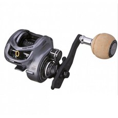 아이오닉스인쇼어