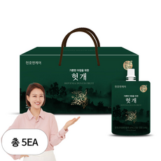 하루활력 가뿐한 아침을 위한 헛개즙, 2.1L, 5개