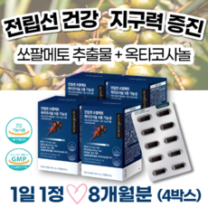 gmp기술인