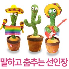 말하는선인장