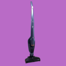 일렉트로룩스에르고라피도