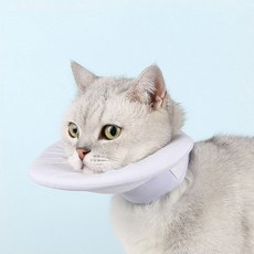 PET 강아지 고양이 넥카라 쿠션 상처보호 중성화, 1개