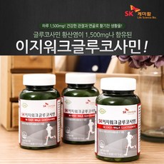 SK케미칼 무릎 관절 허리 디스크 약국 영양제 통증 완화 도움줄수있음 508, SK케미칼 이지워크 글루코사민 1병 단품