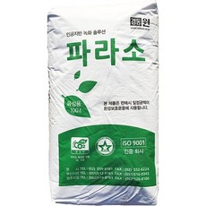 인공토