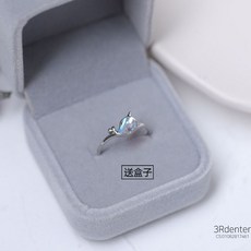 고래은반지
