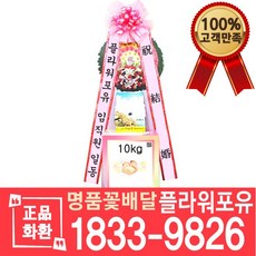 축하 쌀화환 10KG