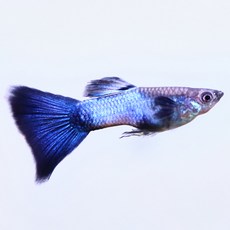 c9896d8d0dcbbb8aba32d9313e679ac800d25c0727e3e3df35b7b388eeee.jpg
