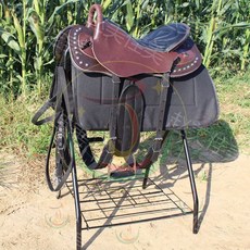 스포츠리터러시