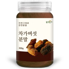 동의한재 프리미엄 러시아 차가버섯 분말 가루