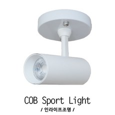 스포트직부등