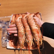 킹단새우