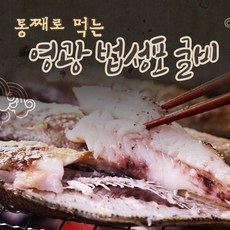 영광망고야