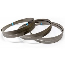 3 x M42 HSS 바이메탈 브리지 2375 x 20 x 0.9 mm 와 5/8 ZpZ 리본 시트, 단일옵션