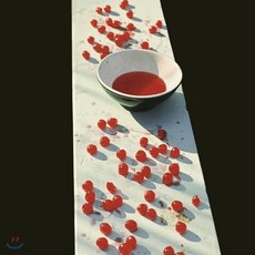 dvd폴매카트니콘서트paulmccartneyconcert