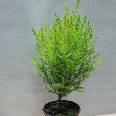 a122facdf817b685f2f020b344c62cf053e0c9a6def57a5c046a2d29b44c.jpg