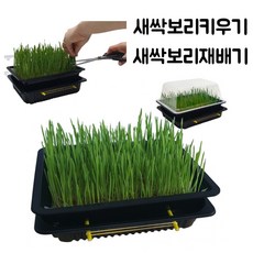 e48b888dabd18af833f96860465a260f7f88af3183508d0f110efd0b6443.jpg