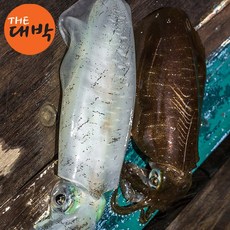 동해안 무늬오징어 1kg 먹통 흰오징어 통찜, 대왕 무늬오징어 1kg (급냉/3~5미 내외)
