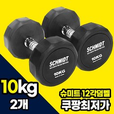 슈미트 아령 3kg 부터 20kg까지 선택구매 12각 덤벨 근력 팔운동 가슴운동 세트구매 헬스장아령 육각아령, 2개, 10kg