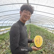 경남 의령 프리미엄 명품 꿀수박 신품종 블랙망고수박 당도보장 노란수박