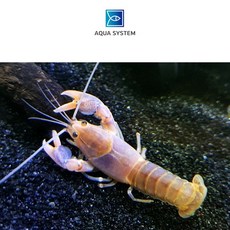 a16b4e7fa79bc682adf3754a1e416ee32c77ed7c8f06aee84993d48287c8.jpg