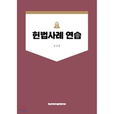 김현철헌법
