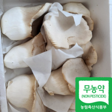 [산지직송 무농약] 못난이 설원버섯 황제버섯 1kg 2kg 사이즈 랜덤