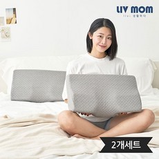 리브맘 3D 메모리폼 누빔 경추베개 1+1