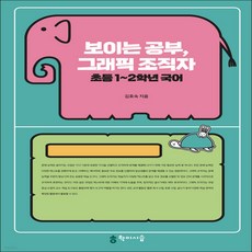 보이는공부그래픽조직자